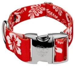 Country Brook Petz 1 1/2 Inch Premium Red Hawaiian Dog Collar -Pet Supplies Online GUEST 31bf4457 902f 402d a0c3 051724f47308