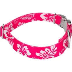 Country Brook Petz Premium Pink Hawaiian Dog Collar -Pet Supplies Online GUEST 31eb1e9d 4232 4405 90b9 9da22809ae87 1