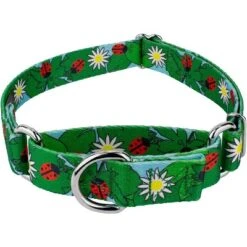 Country Brook Petz - Ladybug Picnic Martingale Dog Collar -Pet Supplies Online GUEST 32b1260e 57d6 4dcc ac61 5ce8378aa249