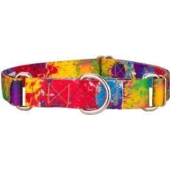 Country Brook Petz Paint Splatter Martingale Dog Collar -Pet Supplies Online GUEST 32f7309f 1bbc 44e5 ab61 79f299aa94e6