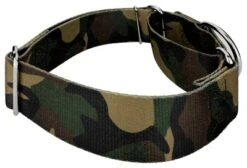 Country Brook Petz 1 1/2 Inch Woodland Camo Martingale Dog Collar -Pet Supplies Online GUEST 333fee36 b14c 42bf 96e7 8e1baf946fec