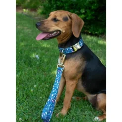 Country Brook Petz Premium Dog Collar And Leash - Critter Corner Collection -Pet Supplies Online GUEST 33ae8e40 221f 4d45 b971 869cc1798b1c 1