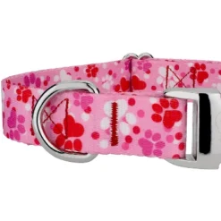 Country Brook Petz Premium Puppy Love Dog Collar -Pet Supplies Online GUEST 33ccdeeb 6d15 4da4 9017 b405cc655aa0