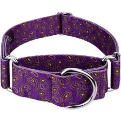 Country Brook Petz 1 1/2 Inch Purple Paisley Martingale Dog Collar -Pet Supplies Online GUEST 34ef2a63 682f 47b3 971f 11c19b35e879