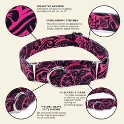 Country Brook Petz Martingale Dog Collar - Attitude Collection -Pet Supplies Online GUEST 359c82e9 48fb 42a7 9dd4 eec8ba11e7ee