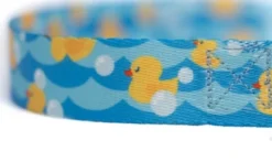 Country Brook Petz Premium Just Ducky Dog Collar -Pet Supplies Online GUEST 366603cf b67a 4ae8 b484 108155c91642