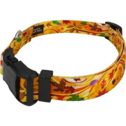 Country Brook Petz Deluxe Autumn Wind Dog Collar And Leash