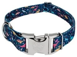 Country Brook Petz Premium Dinosaurs Dog Collar -Pet Supplies Online GUEST 37d68a07 69d1 454e 859b 9aa891cfcd21