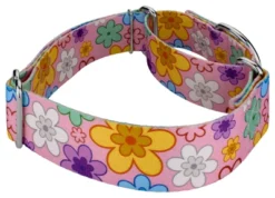 Country Brook Petz 1 1/2 Inch May Flowers Martingale Dog Collar -Pet Supplies Online GUEST 385c719f 5d10 46ed bb5c 57afa196b283