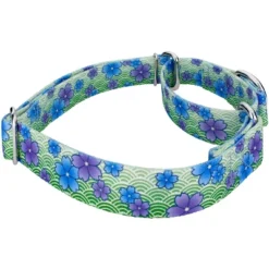 Country Brook Petz Martingale Dog Collar - Spring Collection -Pet Supplies Online GUEST 387eeafd 0710 4ca1 aed0 c61242f47348