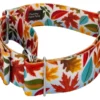 Country Brook Petz 1 1/2 Inch Brisk Autumn Martingale Dog Collar