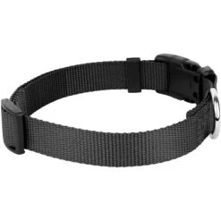 Country Brook Petz Deluxe Nylon Dog Collar And Leash -Pet Supplies Online GUEST 38a9d316 b50f 4482 92c2 0da1121b576f