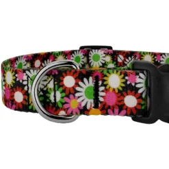 Country Brook Petz Daisy Fields Deluxe Dog Collar And Leash -Pet Supplies Online GUEST 38c2bf01 0ccf 4c38 8cd5 e82f4dce5f55