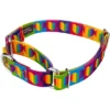 Country Brook Petz Rainbow Hearts Martingale Dog Collar -Pet Supplies Online GUEST 38efe391 5b12 46dc ba5f 59d2b3355007