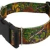 Country Brook Petz 1 1/2 Inch Deluxe Southern Forest Camo Dog Collar -Pet Supplies Online GUEST 39e275e6 9d84 4790 a858 032e9295a8e5