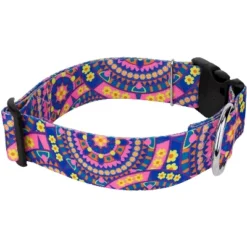 Country Brook Petz HossFit Jr Wide Deluxe Dog Collar - Groovy Collection 8 Country Brook Petz HossFit Jr Wide Deluxe Dog Collar - Groovy Collection -Pet Supplies Online GUEST 39f75a95 ab9c 4515 9175 c02931b24ce3