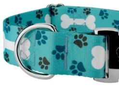 Country Brook Petz HossFit Jr Wide Premium Dog Collar - Dog's Life Collection (Oh My Dog, Extra Large) -Pet Supplies Online GUEST 3a09ad82 602f 4964 91b8 66b59f46121d 1