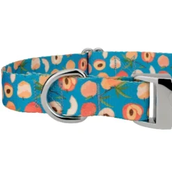 Country Brook Petz Premium Dog Collar - Tasty Collection -Pet Supplies Online GUEST 3a27d926 9f72 4359 bbbd 91f08d93df3d