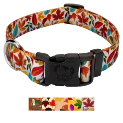 Country Brook Design® Deluxe Dog Collar - Awesome Autumn Collection - Made In The U.S.A. 13 Country Brook Design® Deluxe Dog Collar - Awesome Autumn Collection - Made In The U.S.A. -Pet Supplies Online GUEST 3a67c8c1 380c 4b4c 9145 ecc7ef93d07e