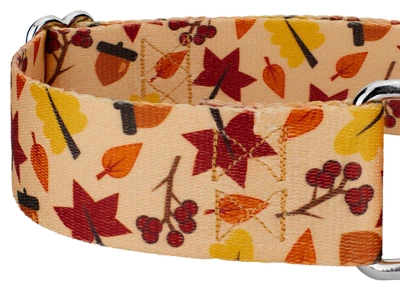 Country Brook Petz 1 1/2 Inch Fall Foliage Martingale Dog Collar 5 Country Brook Petz 1 1/2 Inch Fall Foliage Martingale Dog Collar - Image 3