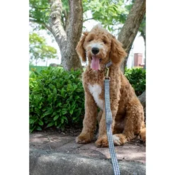 Country Brook Petz Martingale Collar And Leash - Sports And Athletics Collection -Pet Supplies Online GUEST 3ac371f5 bee5 427c 9161 10cd32e27c02 1