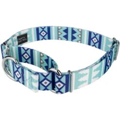 Country Brook Petz Snowy Pines Martingale Dog Collar (1 Inch, Large)