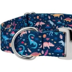 Country Brook Petz HossFit Jr Wide Premium Dog Collar - Critter Corner Collection -Pet Supplies Online GUEST 3bbfb0d9 81ed 4a6b a896 cc8c28e688f8
