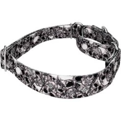 Country Brook Petz Phantom Skulls Martingale Dog Collar (1 Inch, Medium) -Pet Supplies Online GUEST 3c29b246 b027 41e6 872e 8f0d2a3dfc72