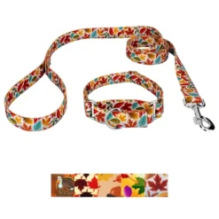 Country Brook Petz Martingale Collar And Leash - Awesome Autumn Collection -Pet Supplies Online GUEST 3c4073c7 af1d 4f2a b603 5c357243c6b7