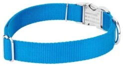 Country Brook Petz Premium Nylon Dog Collar 19 Country Brook Petz Premium Nylon Dog Collar -Pet Supplies Online GUEST 3ca33c5f 7cc1 4a36 81cb 63d98150d2a1