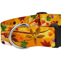 Country Brook Petz HossFit Jr Wide Deluxe Dog Collar - Awesome Autumn Collection -Pet Supplies Online GUEST 3cd1644a 986f 485a 8309 9f8de46577a6
