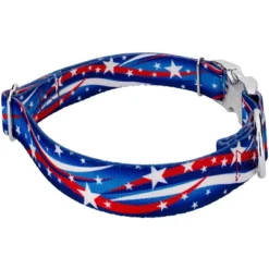 Country Brook Petz Premium Star Spangled Dog Collar And Leash -Pet Supplies Online GUEST 3d127680 8983 48d0 8bd2 5920203475dd