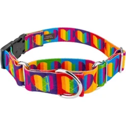 Country Brook Petz 1 1/2 Inch Rainbow Hearts Martingale W/Deluxe Buckle Dog Collar 11 Country Brook Petz 1 1/2 Inch Rainbow Hearts Martingale W/Deluxe Buckle Dog Collar -Pet Supplies Online GUEST 3d1dabc3 9174 4291 86de 79d48e9aa216