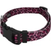 Country Brook Petz Pink Leopard Deluxe Dog Collar - Made In The U.S.A. -Pet Supplies Online GUEST 3d9065bb d99e 499c a894 109712cf8e74