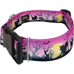 Country Brook Petz HossFit Jr Wide Deluxe Dog Collar - Halloween Collection