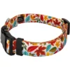 Country Brook Petz Deluxe Brisk Autumn Dog Collar And Leash