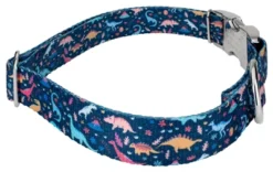 Country Brook Petz Premium Dinosaurs Dog Collar -Pet Supplies Online GUEST 404171a5 00d8 43c6 918c 3215da9ff7d4