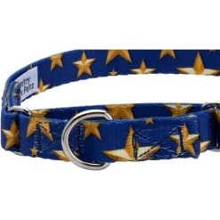 Country Brook Petz Duty Honor Country Martingale Dog Collar (1/2 Inch, 2XS) 12 Country Brook Petz Duty Honor Country Martingale Dog Collar (1/2 Inch, 2XS) -Pet Supplies Online GUEST 40616f09 f49d 4ab8 a610 8345ee97433d