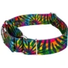 Country Brook Petz 2 Inch Tie Dye Stripes Martingale Dog Collar -Pet Supplies Online GUEST 4075bf0d c22c 4465 b1ef a94bd998fff8