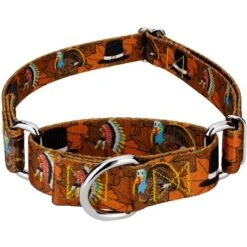 Country Brook Petz Thanksgiving Tradition Martingale Dog Collar -Pet Supplies Online GUEST 40be1247 78aa 40d7 b7be 2b9827697e5c