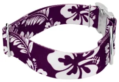 Country Brook Petz 1 1/2 Inch Premium Purple Hawaiian Dog Collar -Pet Supplies Online GUEST 4178405f 49ac 4676 a4a3 5d087dc9f9c5