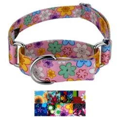 Country Brook Petz Martingale Dog Collar Floral Collection With 8 Charming Designs 11 Country Brook Petz Martingale Dog Collar Floral Collection With 8 Charming Designs -Pet Supplies Online GUEST 423f29f2 62c7 4d3e ac37 f278e9ac295b