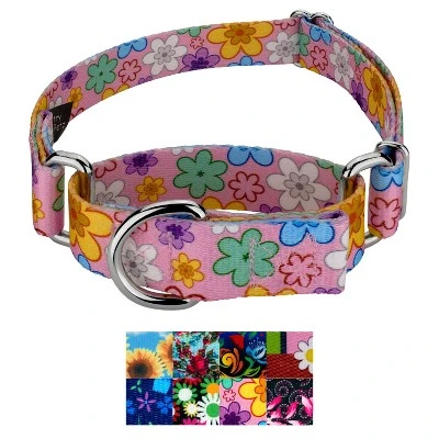 Country Brook Petz Martingale Dog Collar Floral Collection With 8 Charming Designs 7 Country Brook Petz Martingale Dog Collar Floral Collection With 8 Charming Designs - Image 5