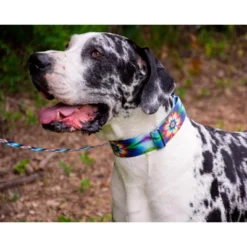 Country Brook Petz Tie Dye Flowers Martingale Dog Collar -Pet Supplies Online GUEST 426ccbc9 0dfd 46ee a8a8 32574ab404ec 1