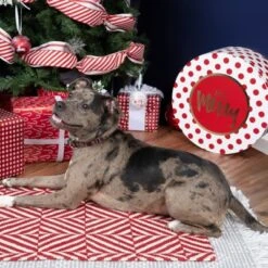 Country Brook Petz HossFit Jr Wide Martingale Dog Collar - Plaid And Argyle Collection 13 Country Brook Petz HossFit Jr Wide Martingale Dog Collar - Plaid And Argyle Collection -Pet Supplies Online GUEST 42a2ca20 1d96 419e 9f22 38f2c7b6e59d