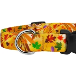 Country Brook Petz Deluxe Autumn Wind Dog Collar And Leash -Pet Supplies Online GUEST 43aa5ce6 4f46 4184 9184 9158f66f5c39