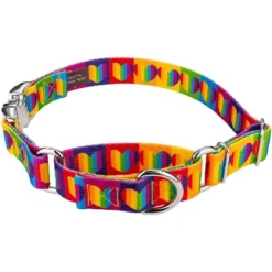 Country Brook Petz Rainbow Hearts Martingale Dog Collar With Premium Buckle (1 Inch, Large) -Pet Supplies Online GUEST 4447cf69 ccf1 42ad a09a 7b37002d042d 1