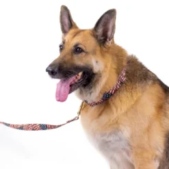 Country Brook Petz Premium Patriotic Tribute Dog Collar -Pet Supplies Online GUEST 444afdc4 7af2 408a 84ca b6b47e4dc45c 3