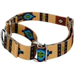 Country Brook Petz Native Arizona Martingale Dog Collar