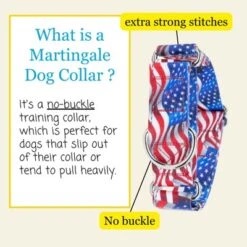 Country Brook Petz HossFit Jr Wide Reflective Martingale Dog Collar Collection Featuring Night Safe Designs -Pet Supplies Online GUEST 44da2be1 f720 491d a558 c2fd97d52589